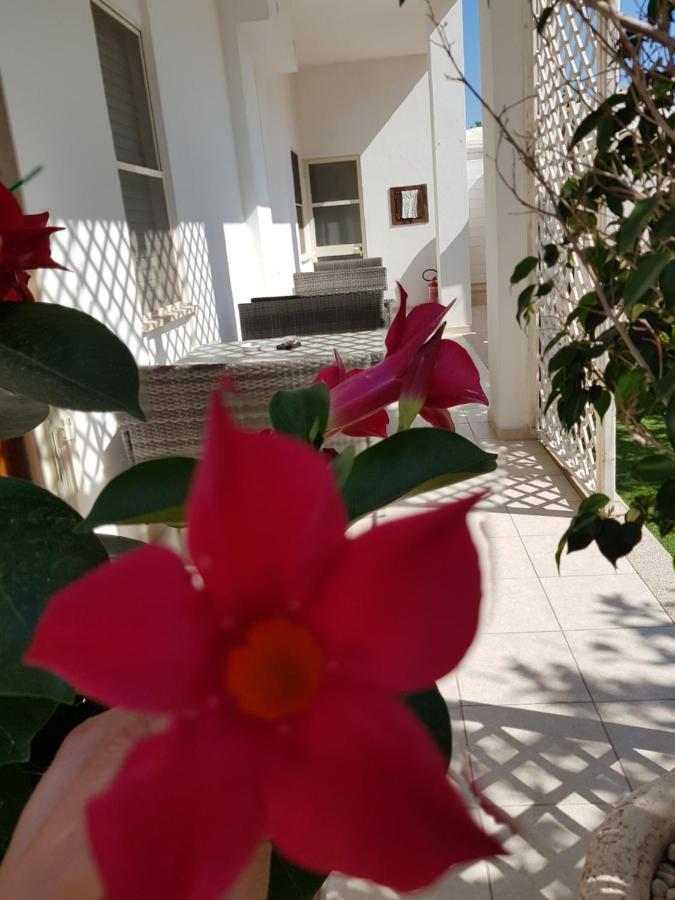 Zia Mia B&B Olbia Exteriör bild