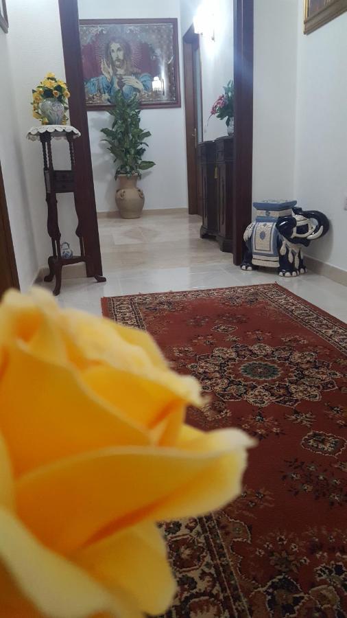 Zia Mia B&B Olbia Exteriör bild